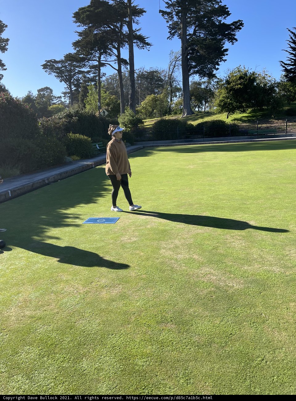 Golfing in the Sun