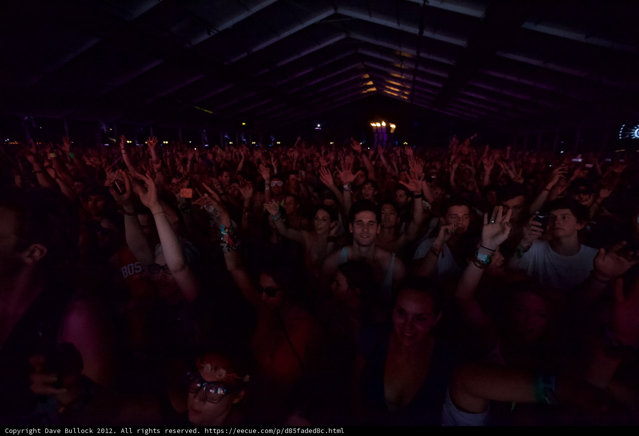 Coachella Crowd Goes Wild