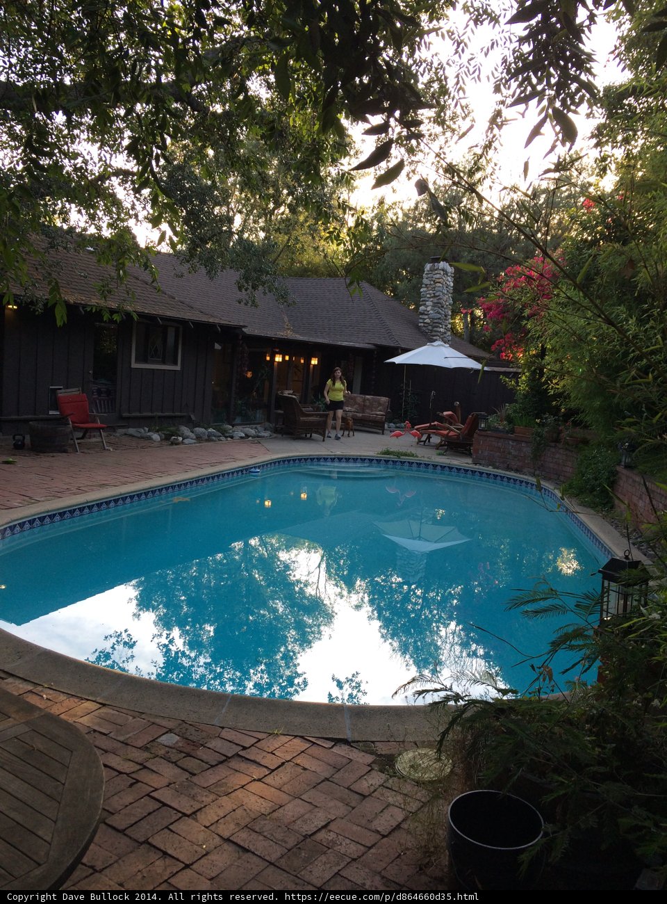 Resort-style Pool in Altadena Backyard