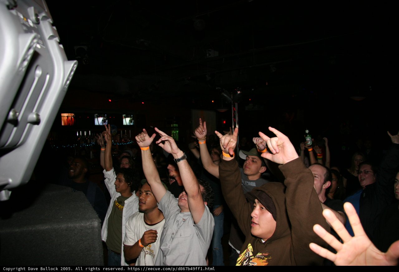 Nightclub Party Goers