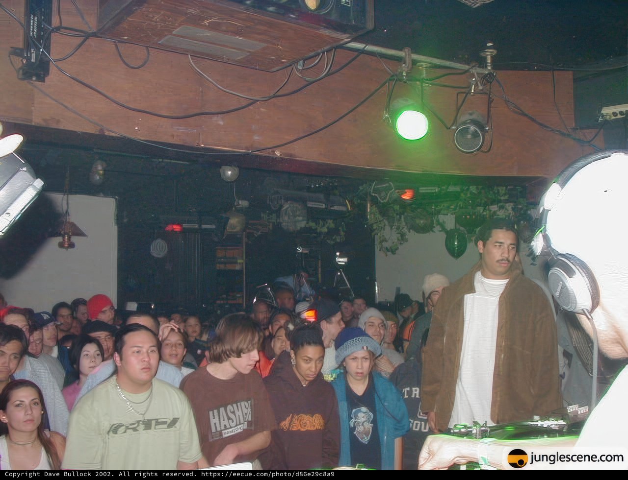 Night Club Vibes