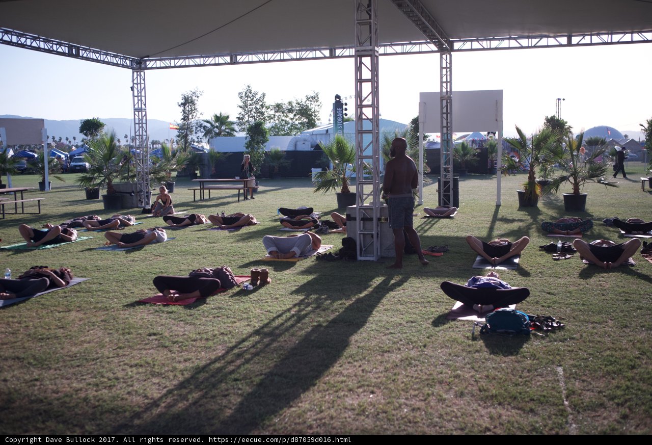 Relaxing on the Green Lawn