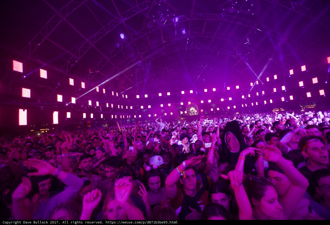 Purple Haze Concert Madness