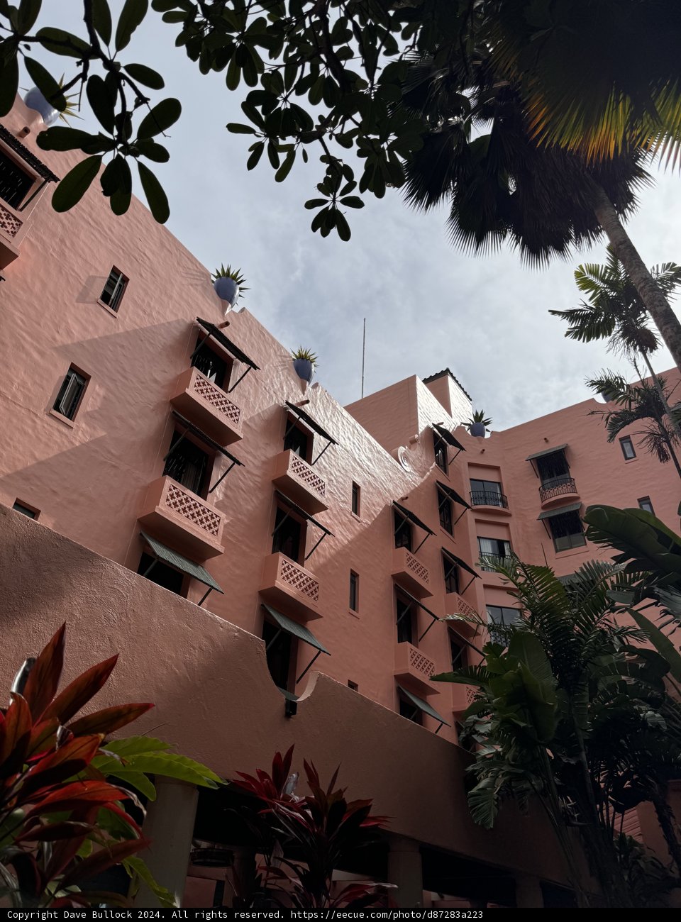 Urban Oasis in Waikiki