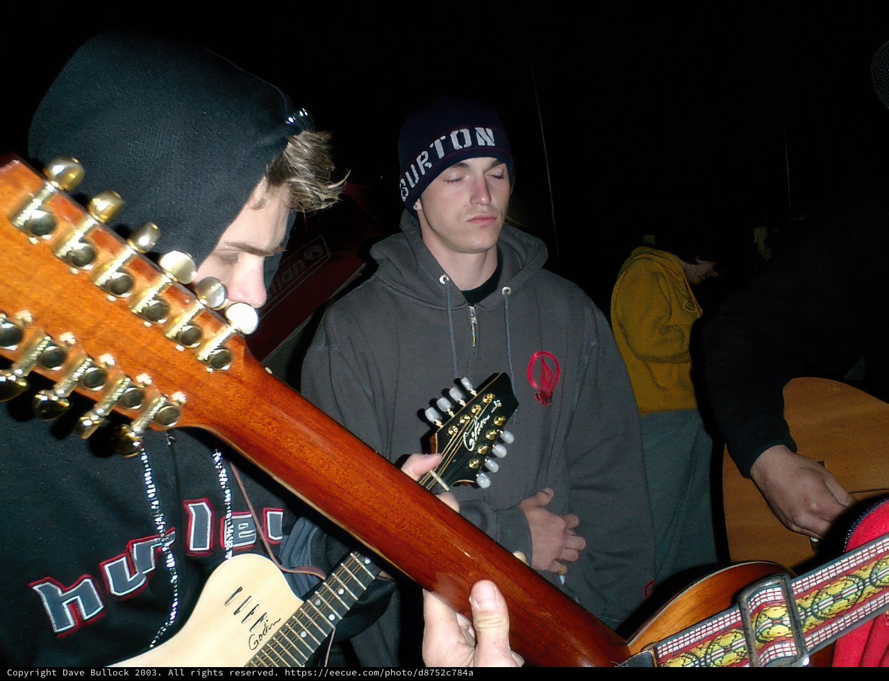 Strumming the Night Away