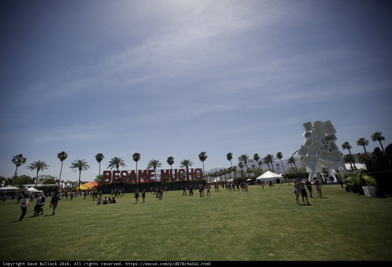 The Joy of Coachella