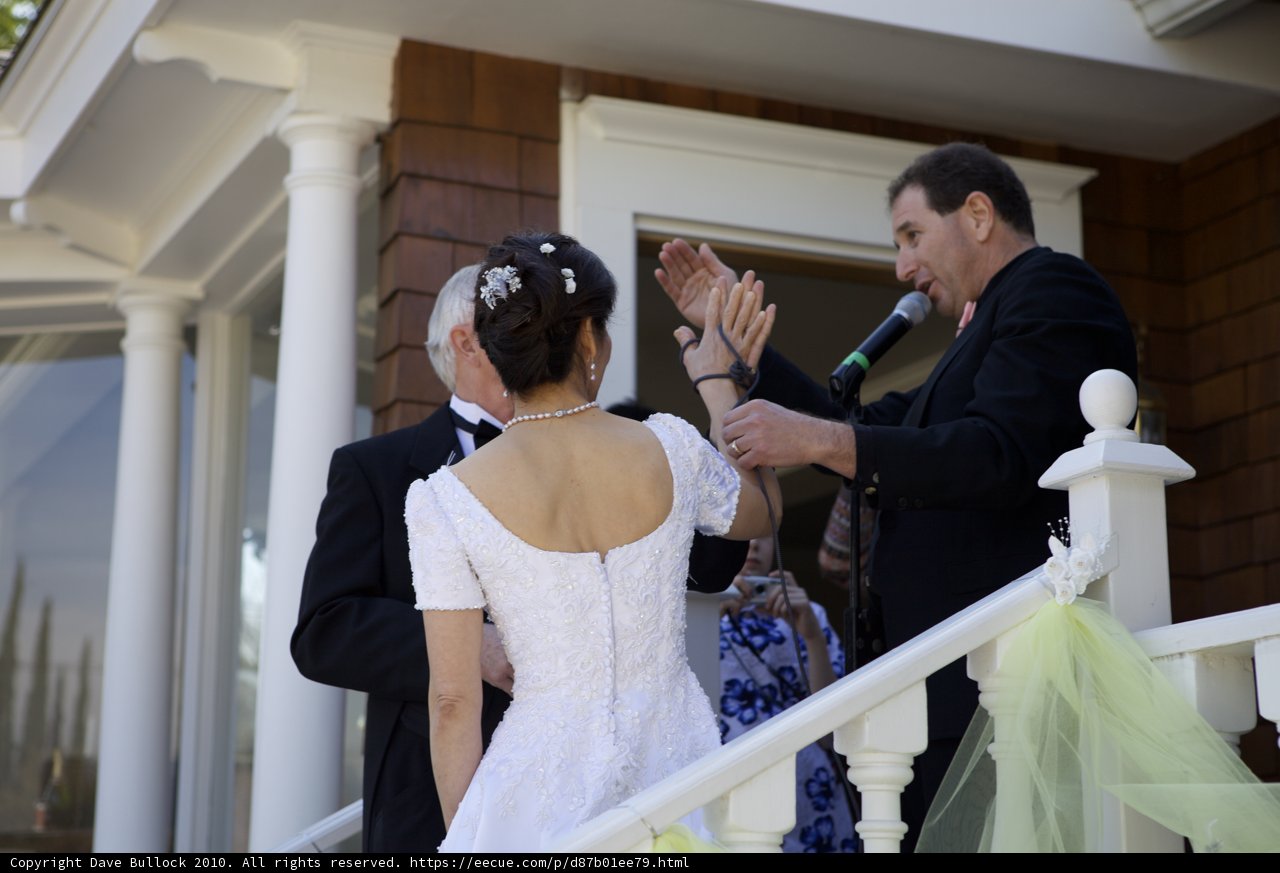 Celebrating the Wedding