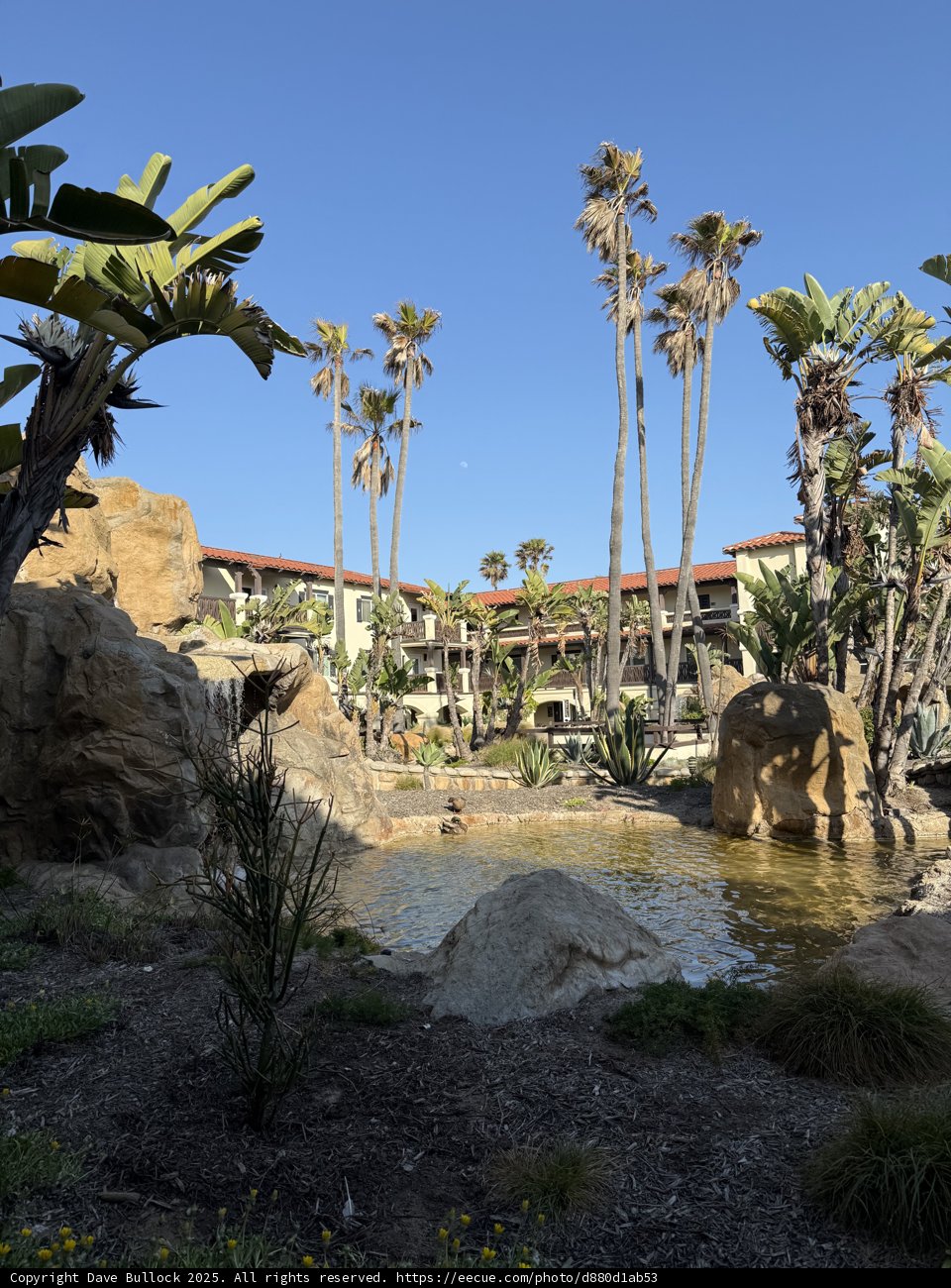Tranquil Oasis in Oxnard