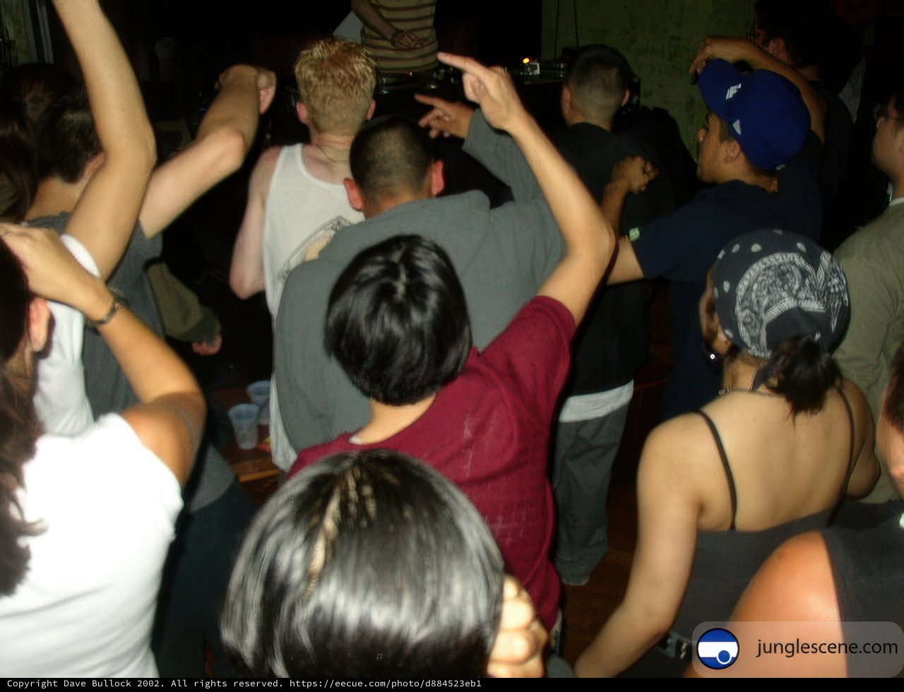 Party People with Raised Hands