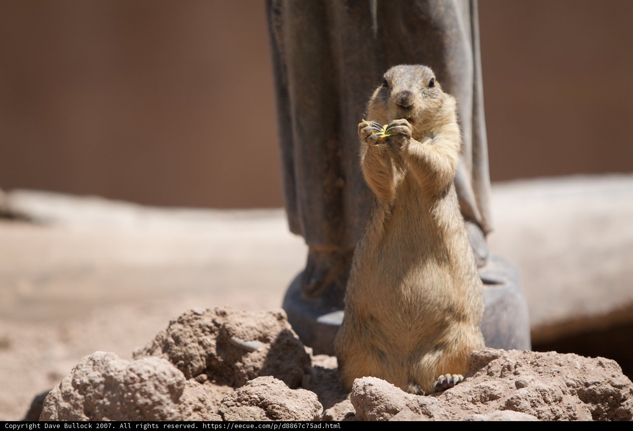 Nutty Snack Time