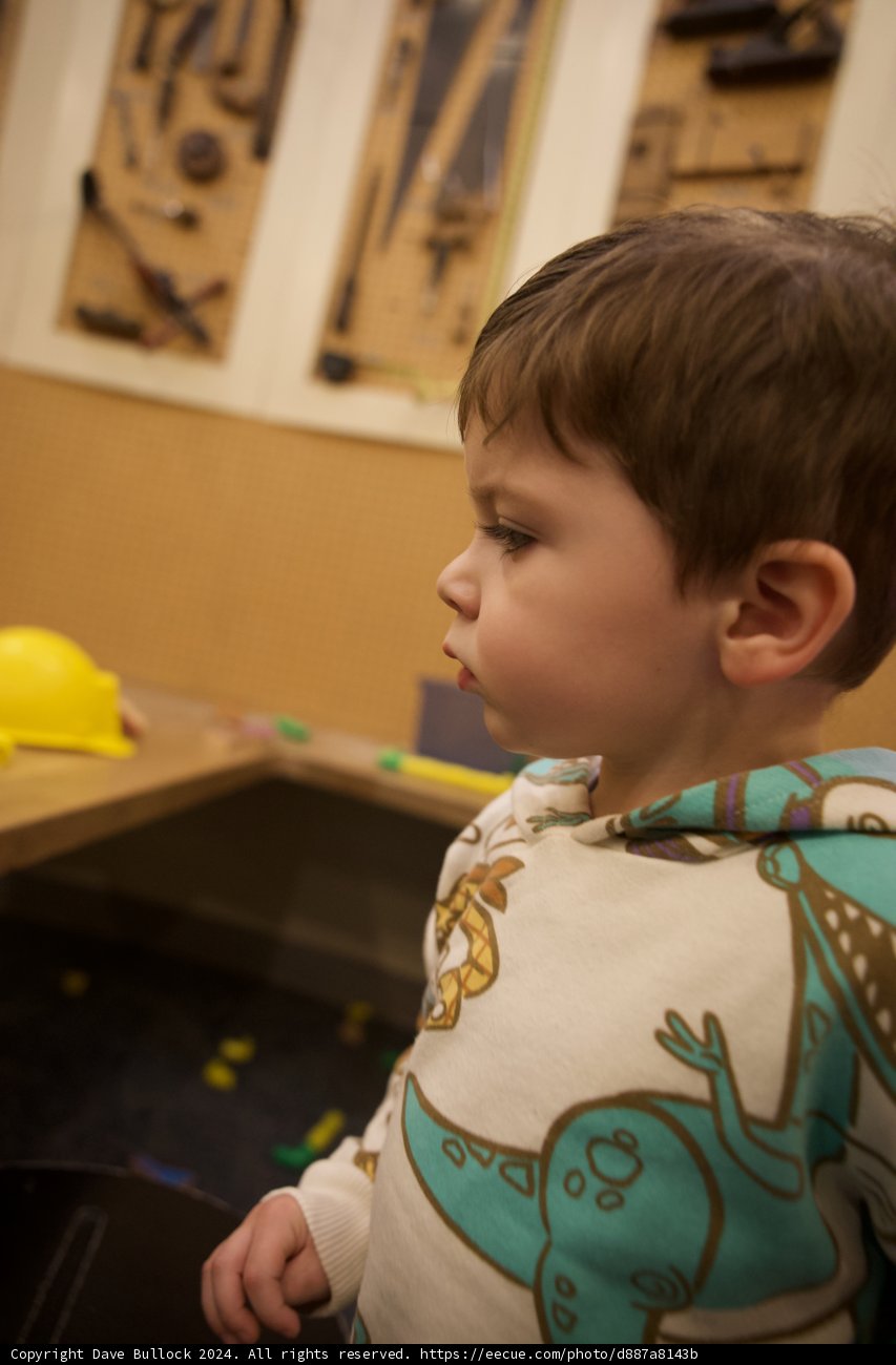 Curious Minds at Play