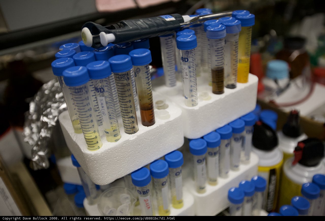 Nanomachine Experiments