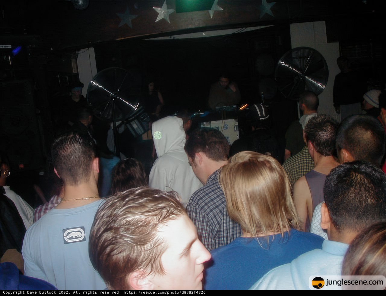 Nightclub Party Crowd