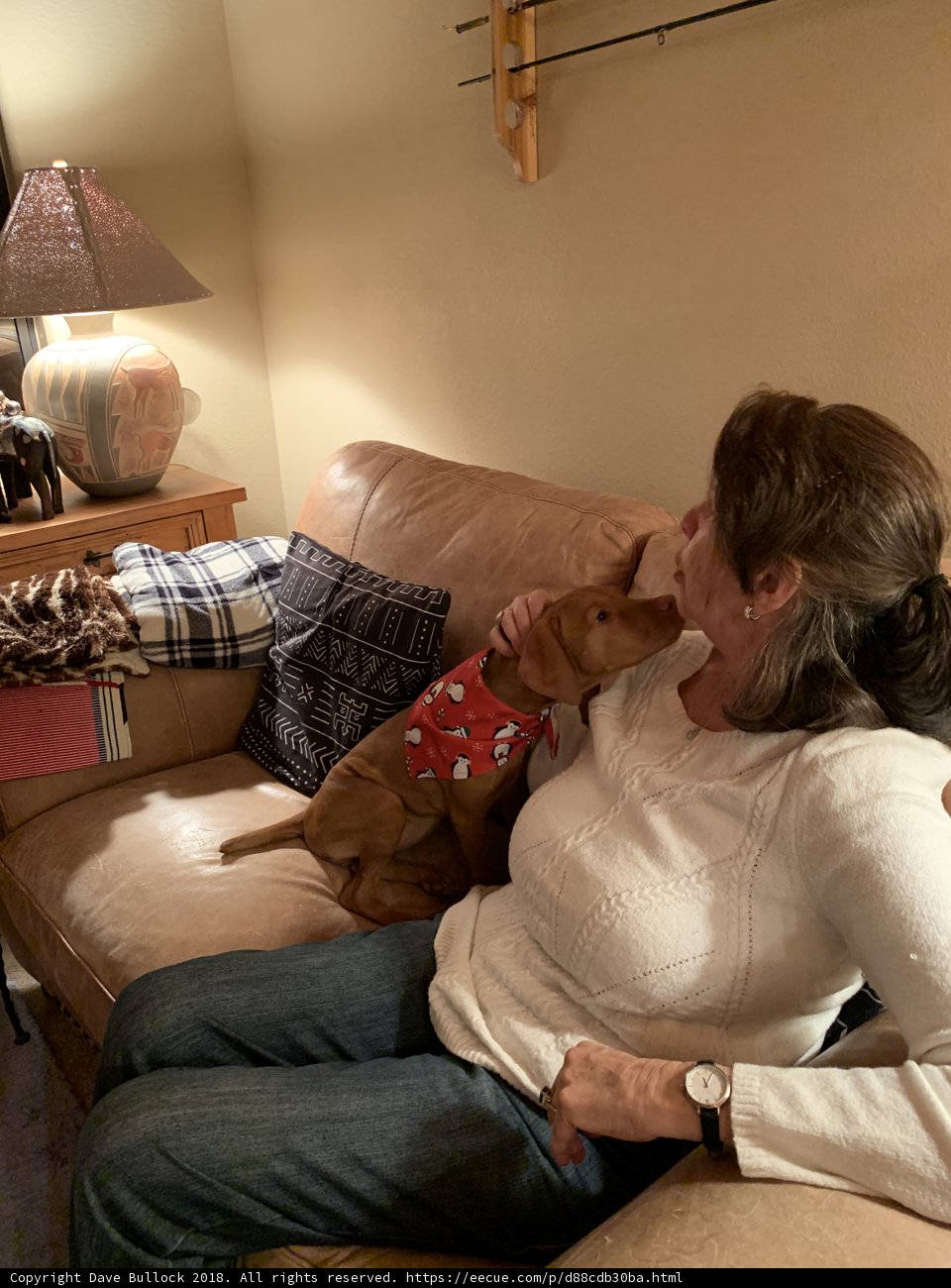 Cozy Christmas with My Furry Friend