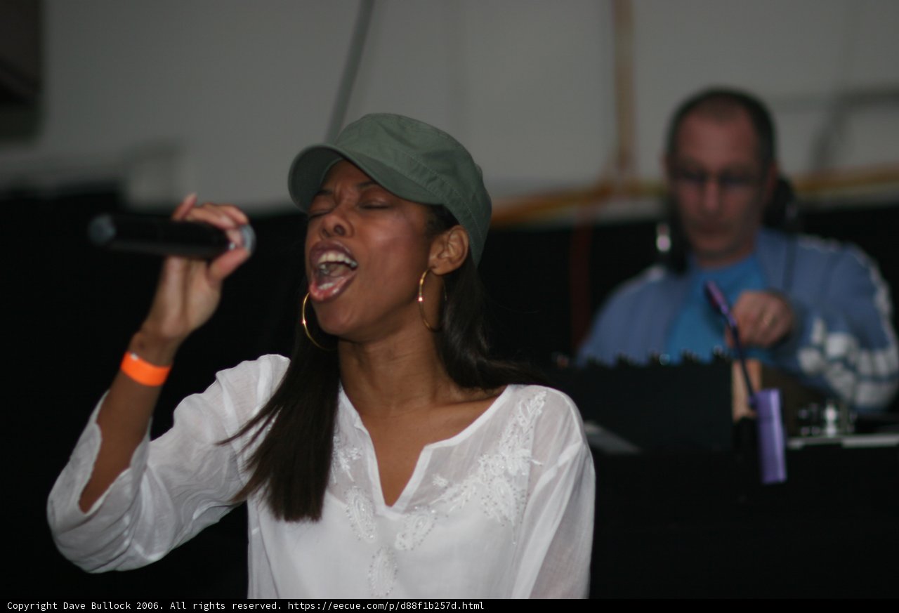 Party Performer