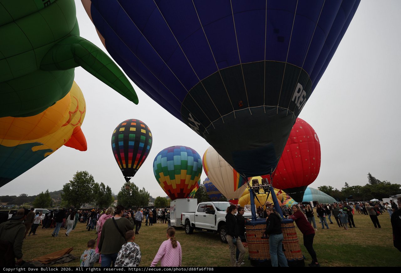Colorful Hot Air Balloons Fill the Sky at Festival