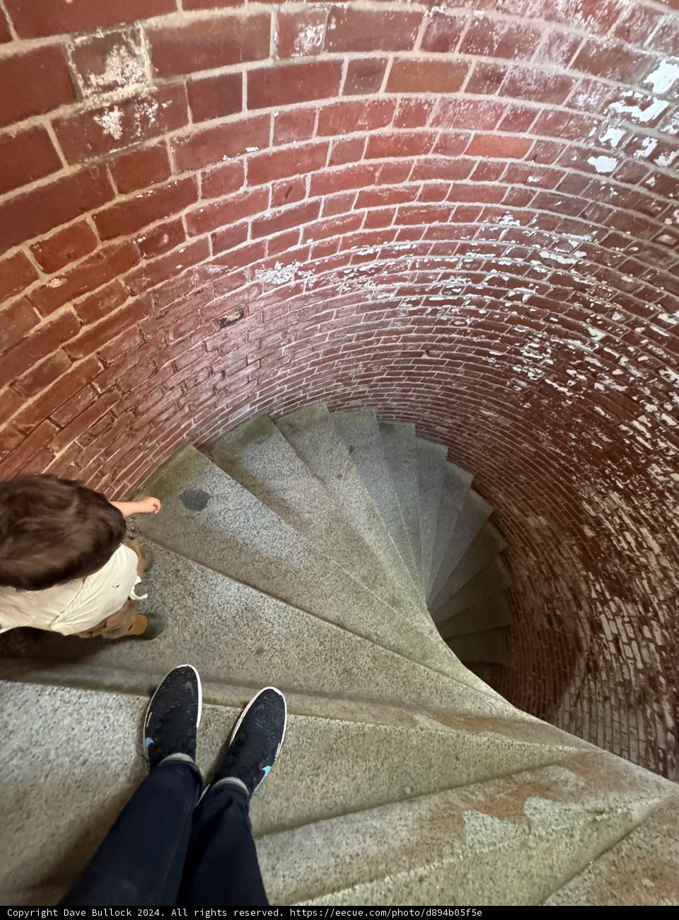 Elevated Moments at Fort Point