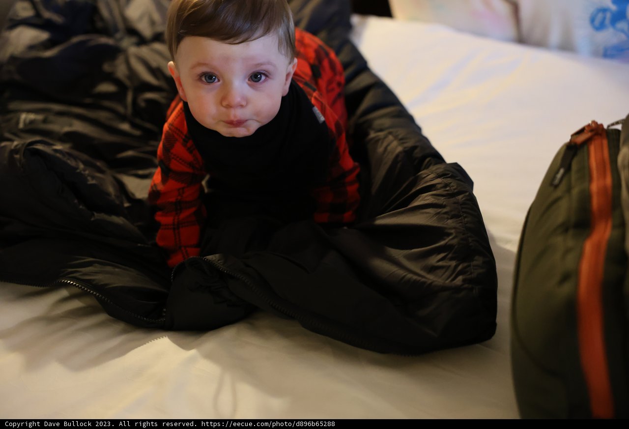 Sweet Dreams in the Coziest Sleeping Bag