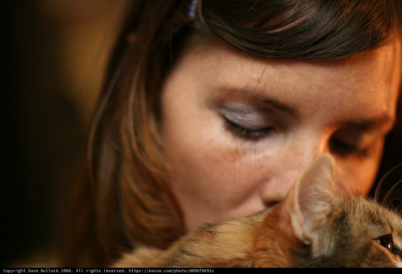 Feline Affection, 2006