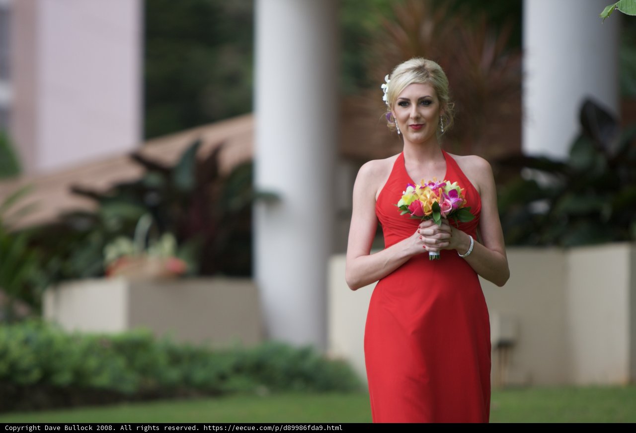 Elegant Evening in Hawaii