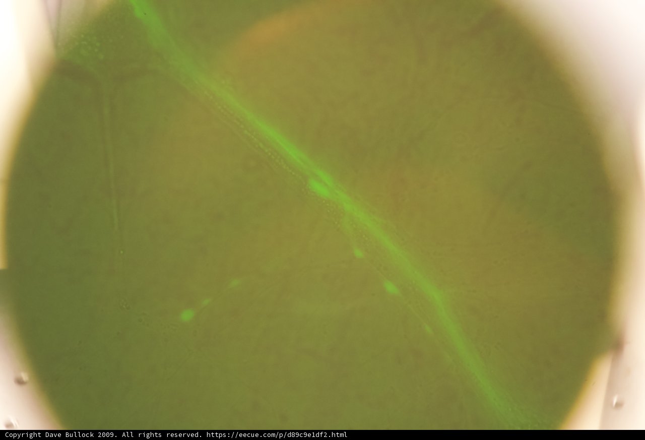 Emerald Glow