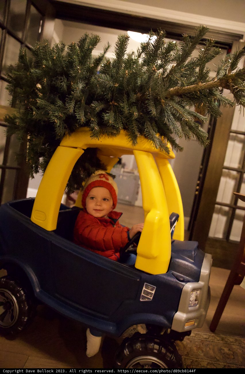 Wesley's Tiny Christmas Adventure