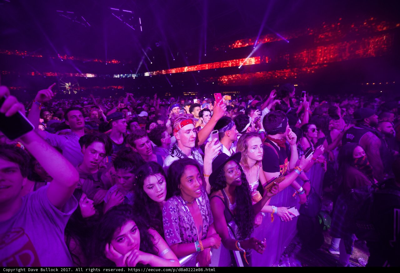 Purple Haze at Coachella