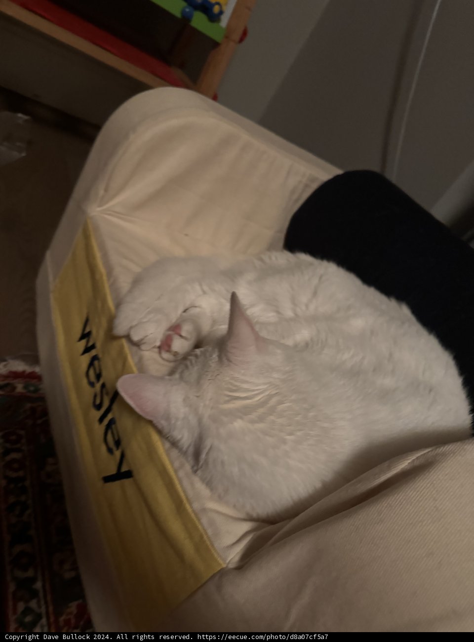 Cozy Slumber