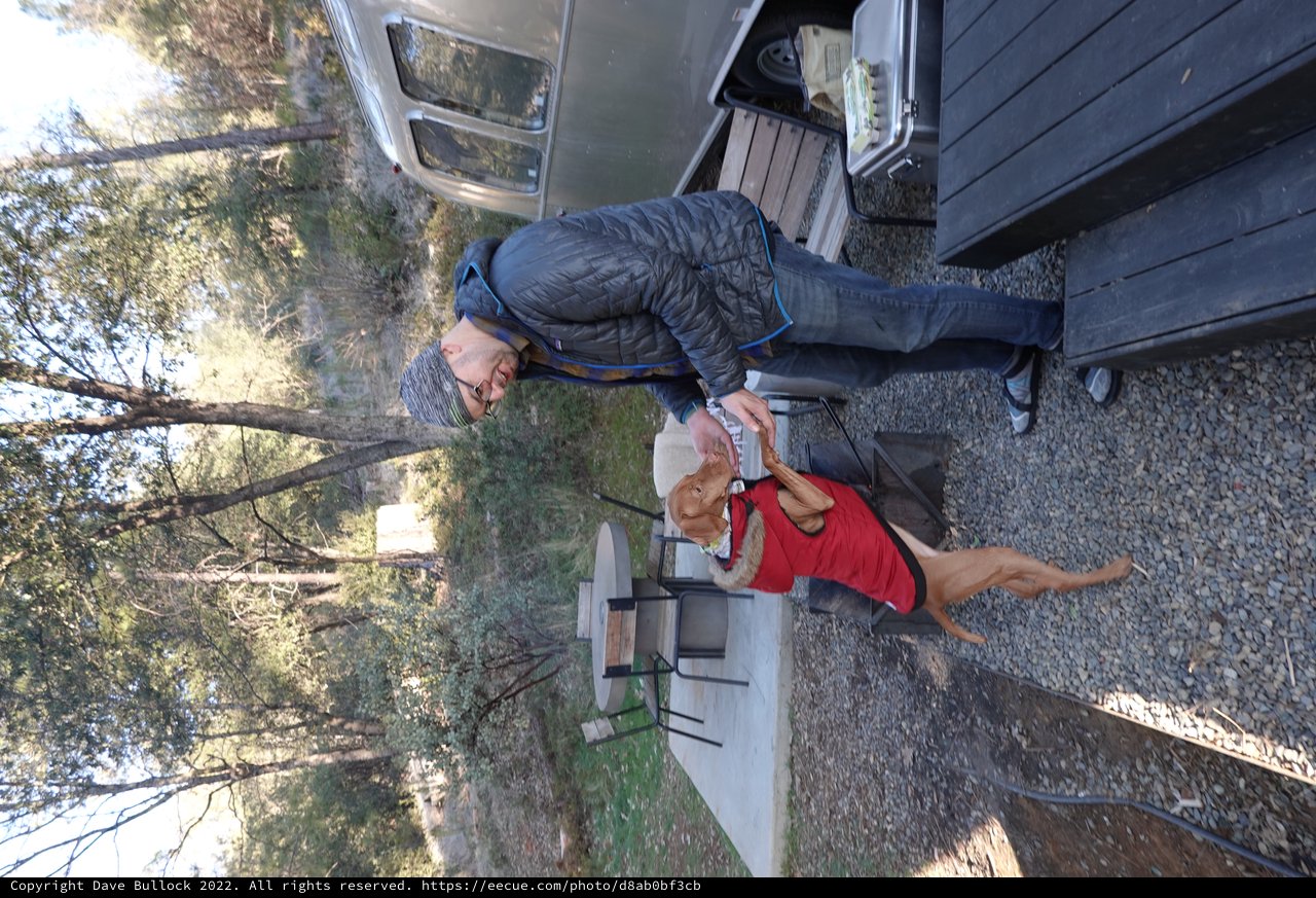 Camping Adventure with Dog and Owner
