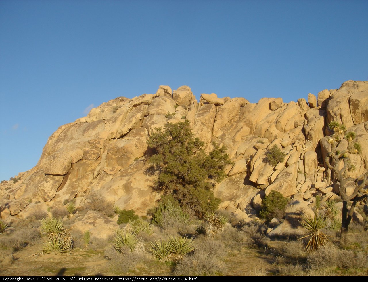 Rocky Outcrops in Joshua Tree National Park