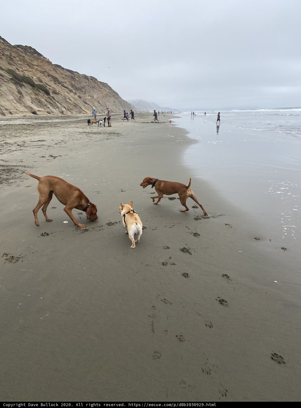 Playtime at the Beach