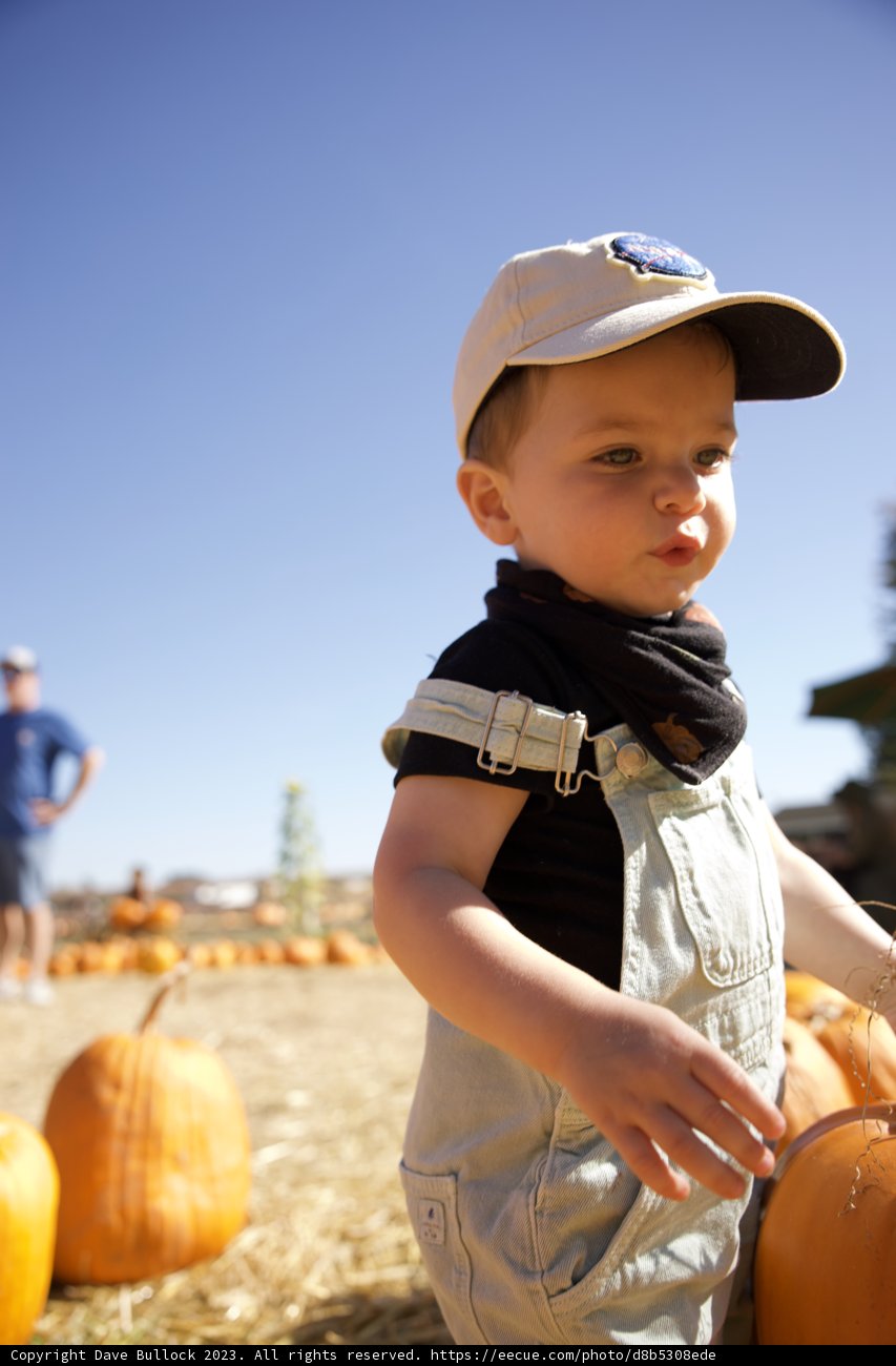 Wesley's Pumpkin Patch Adventure, 2023
