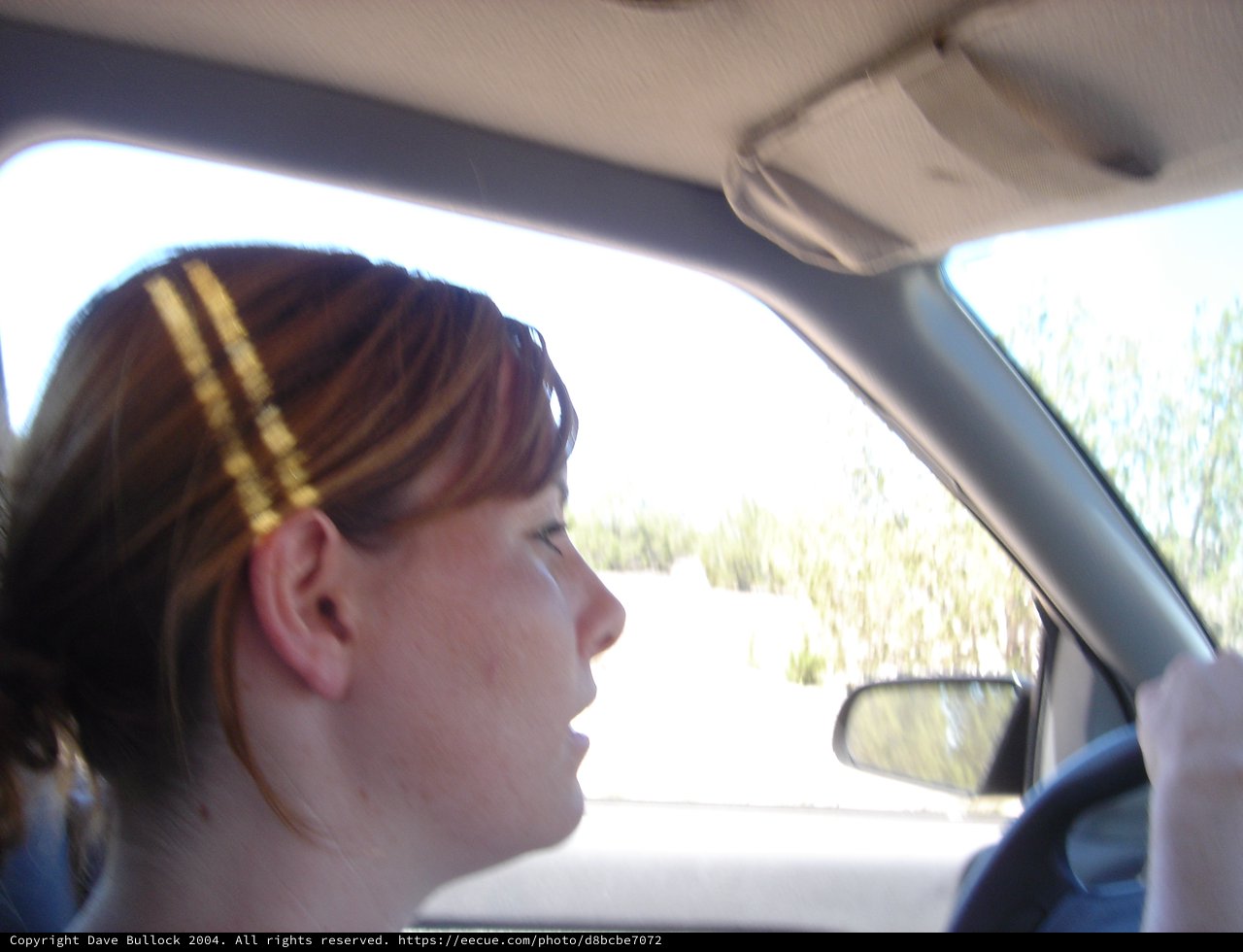 Woman Driving Through Arid Desert Landscape