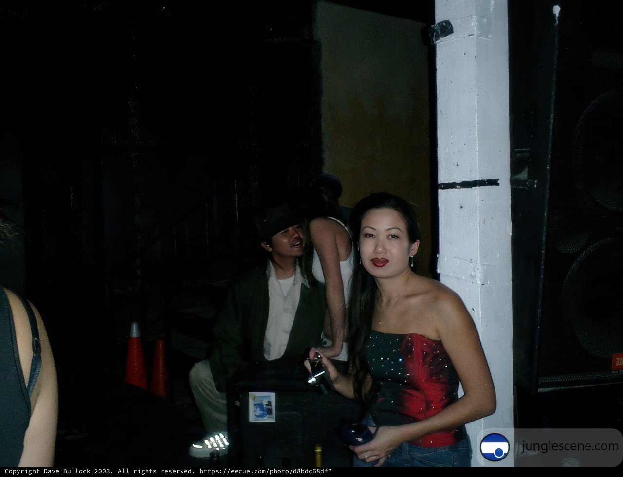 A Night Out in Formal Wear