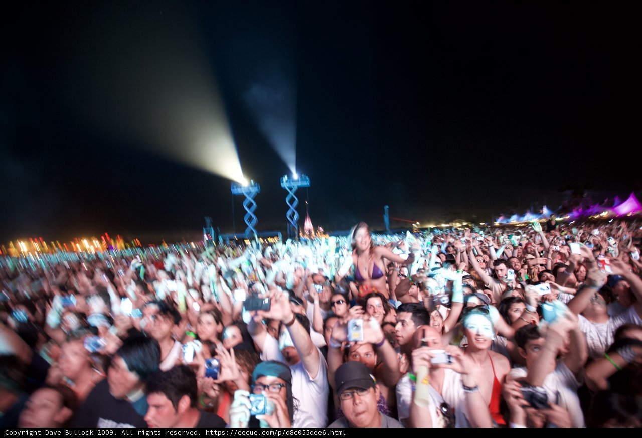Festival Thrill!