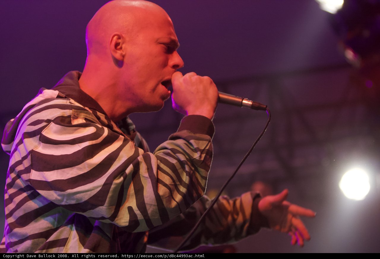 Rocking the Zebra Print