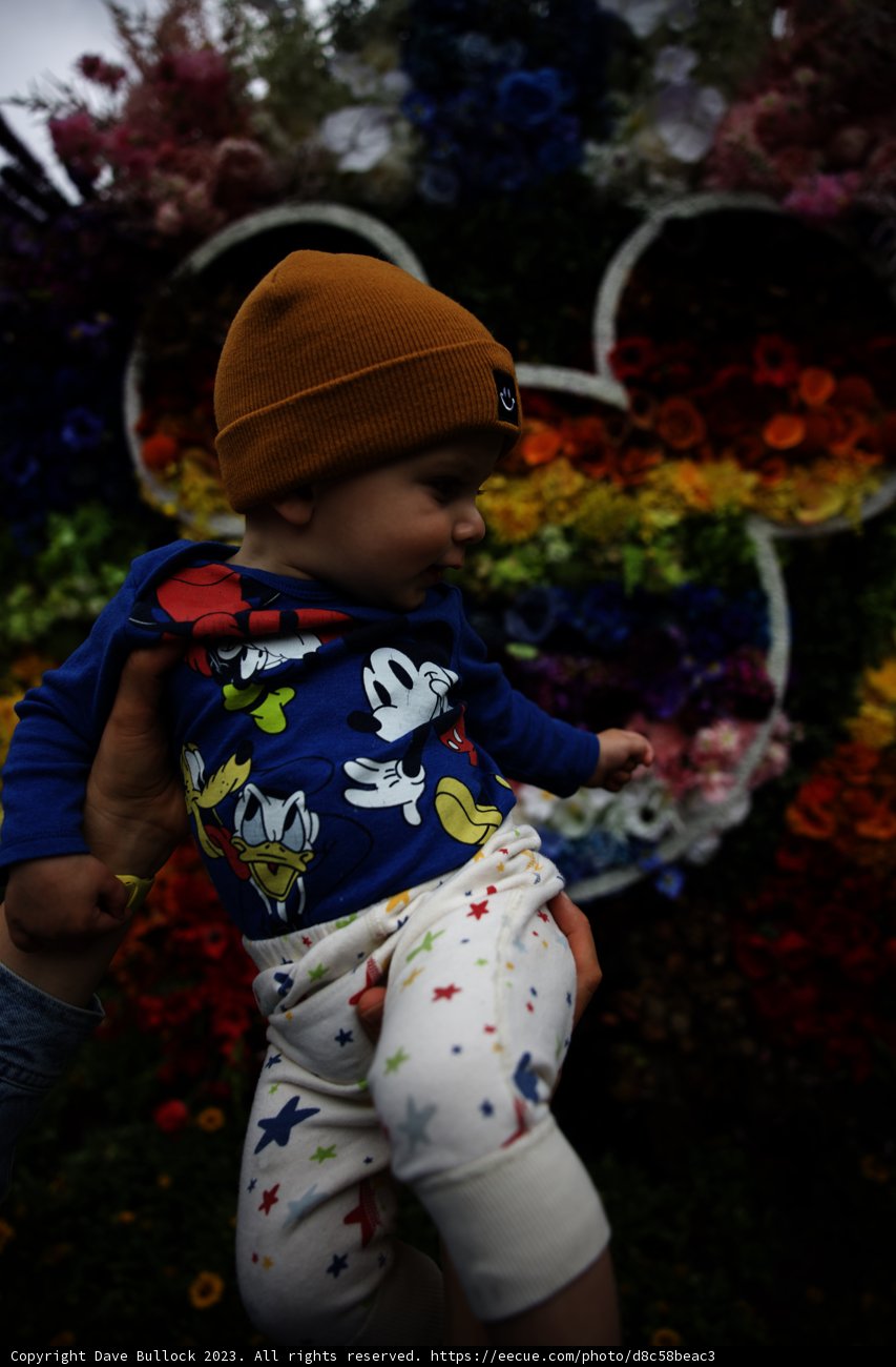 Blooming Memories at Disneyland