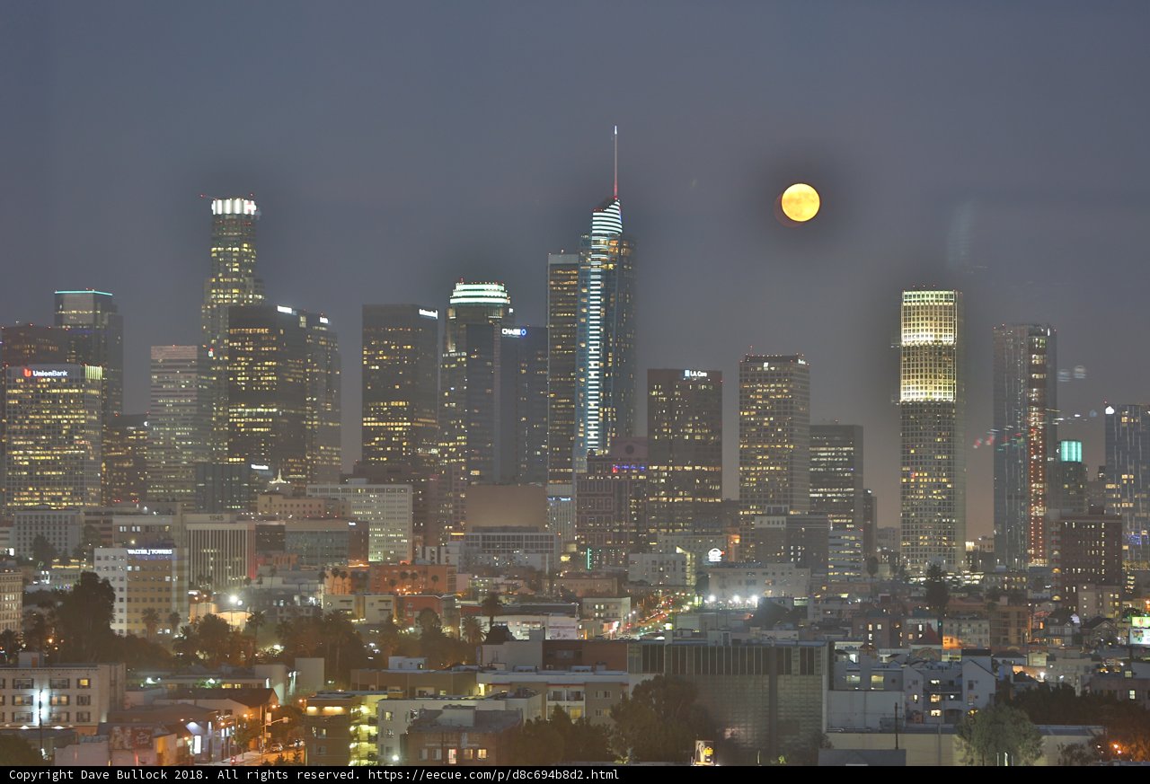 Moonlit Metropolis