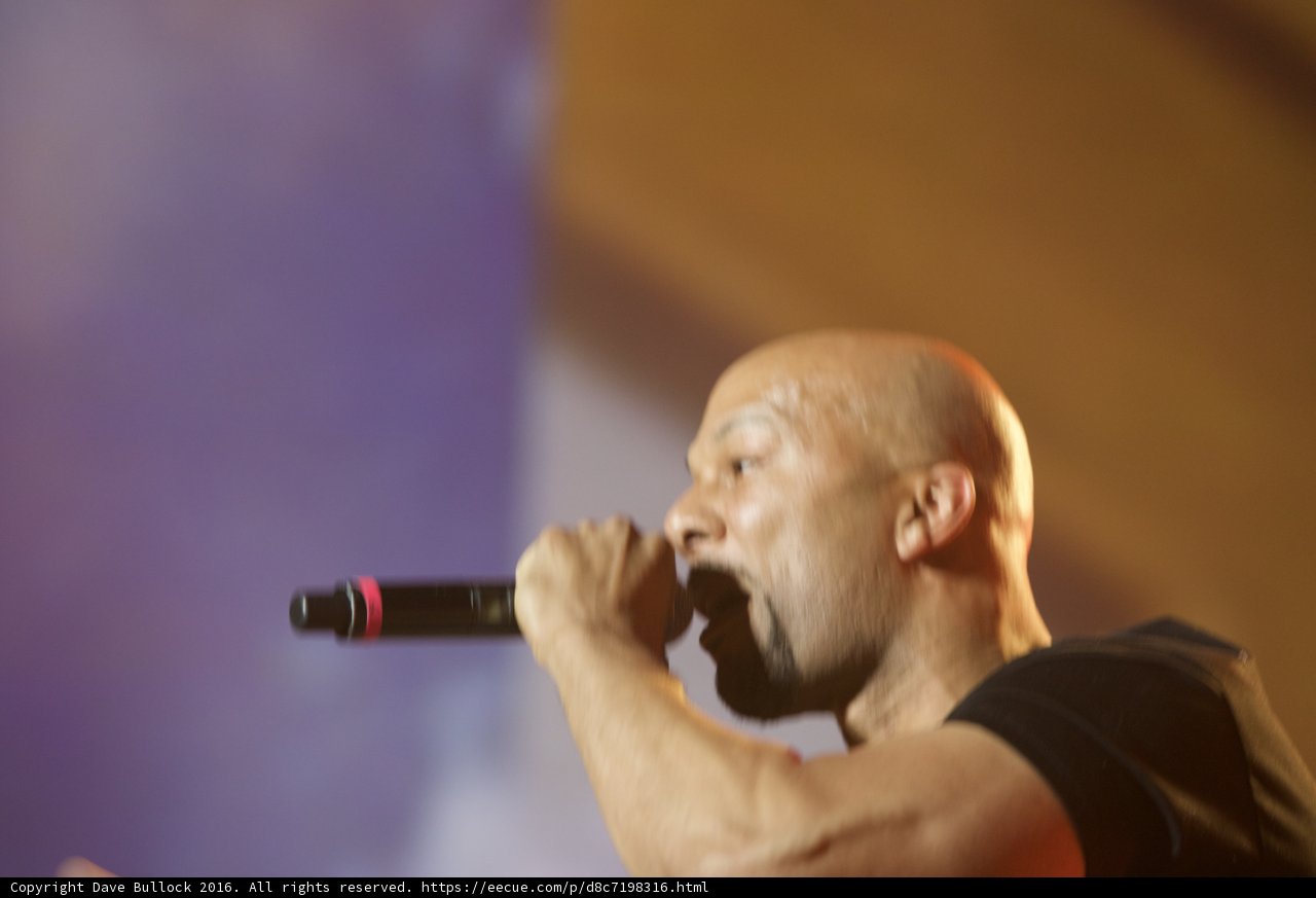 Common Takes Coachella Stage by Storm