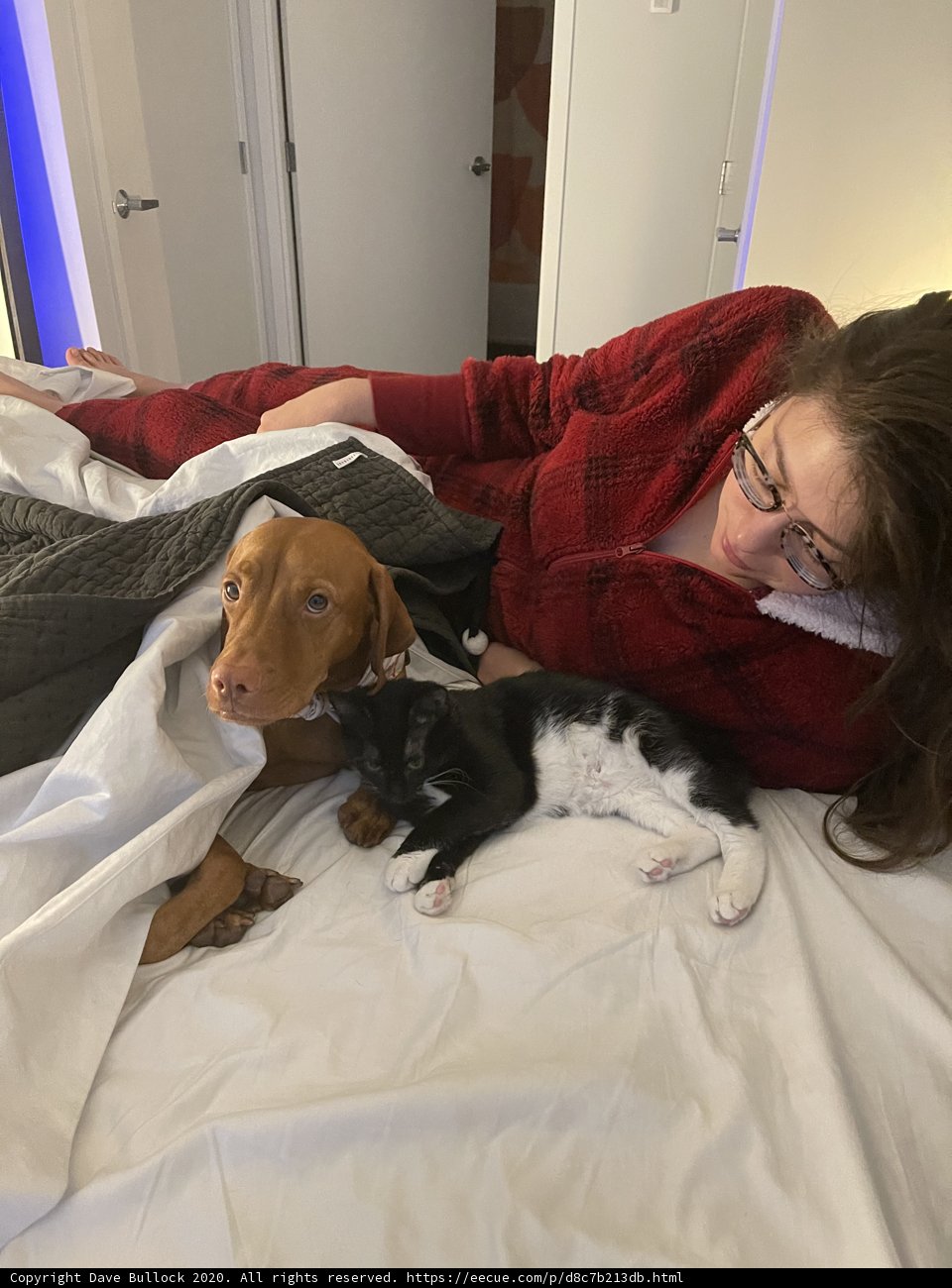 Cozy Companions
