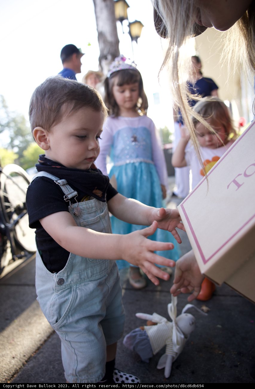Innocence in Play: A Day with Wesley
