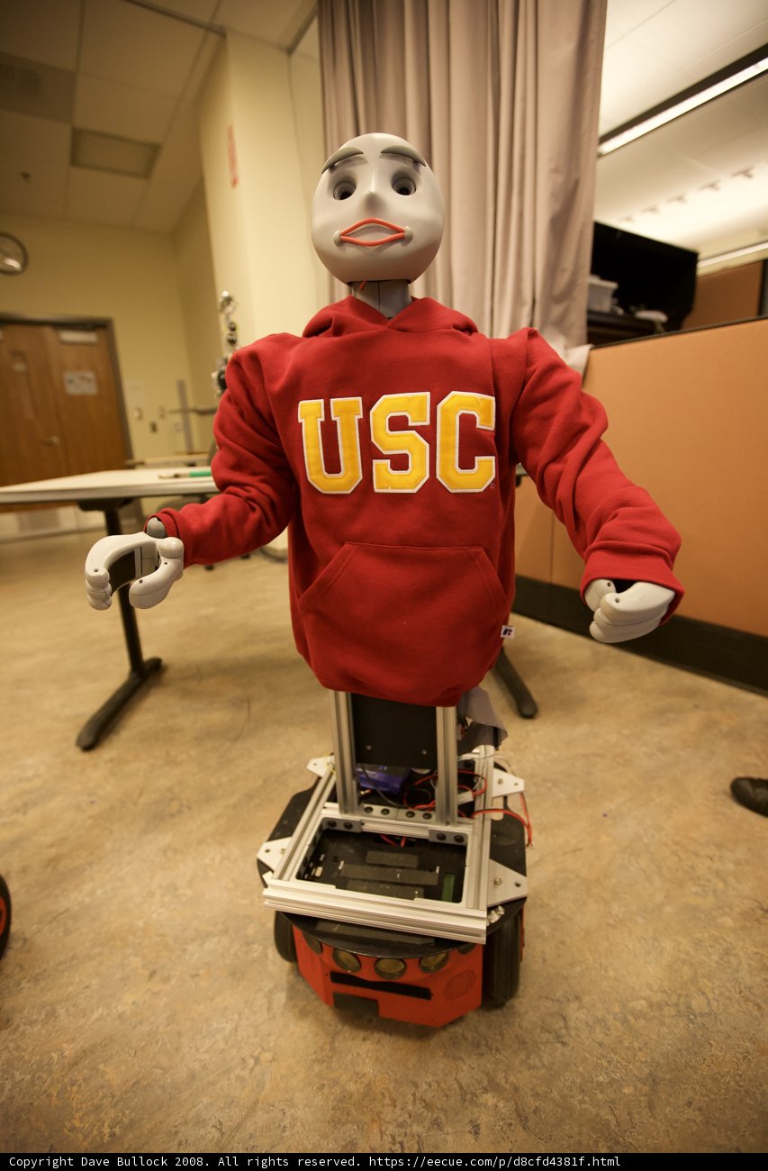 Robo-Chic in a Red Hoodie