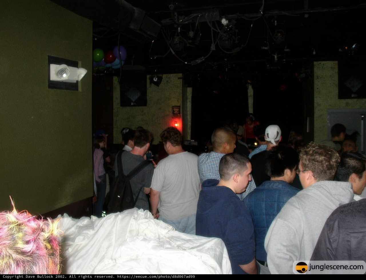 Nightclub Fun