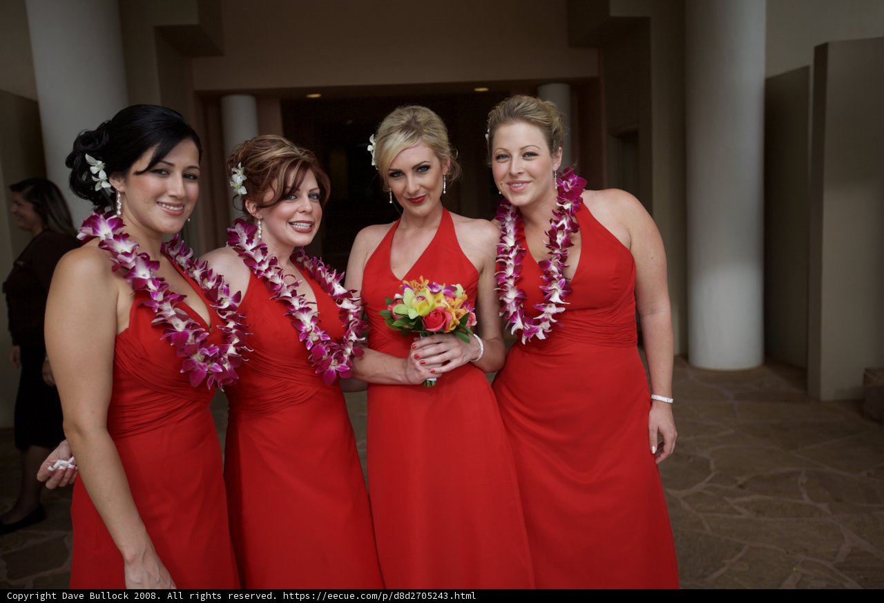 Red-Dressed Bridesmaids' Group Shot
