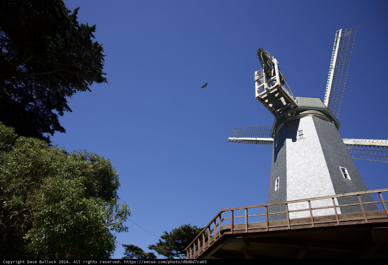 Serenity Meets Mechanism: Blue Sky Over Golden Gate Park Windmills