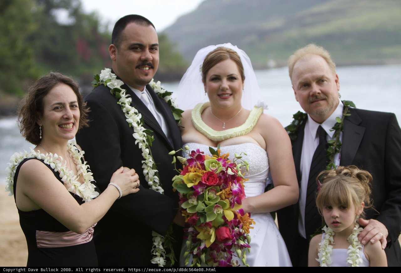 A Wedding in Hawaii