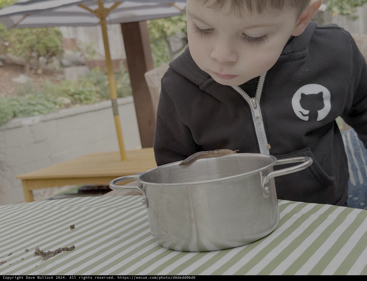 Young Boy Gazing into Cooking Pot Outdoors