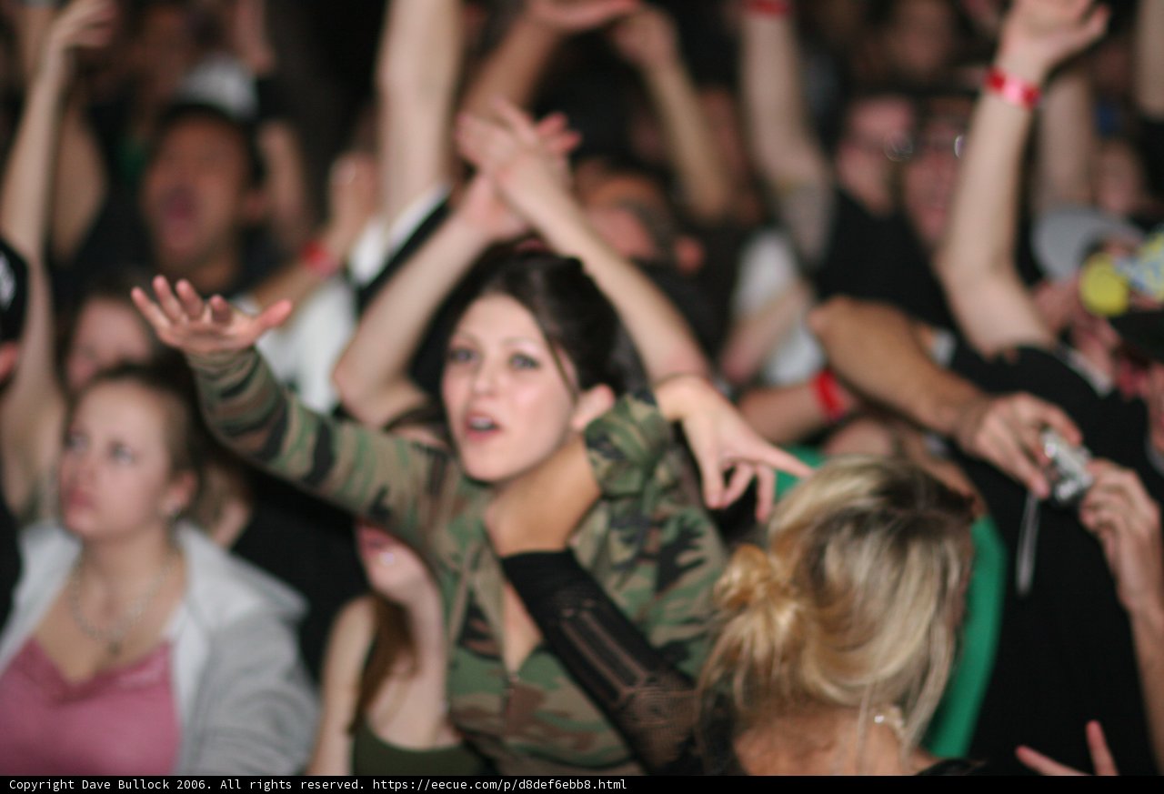 Surrendering to the Crowd