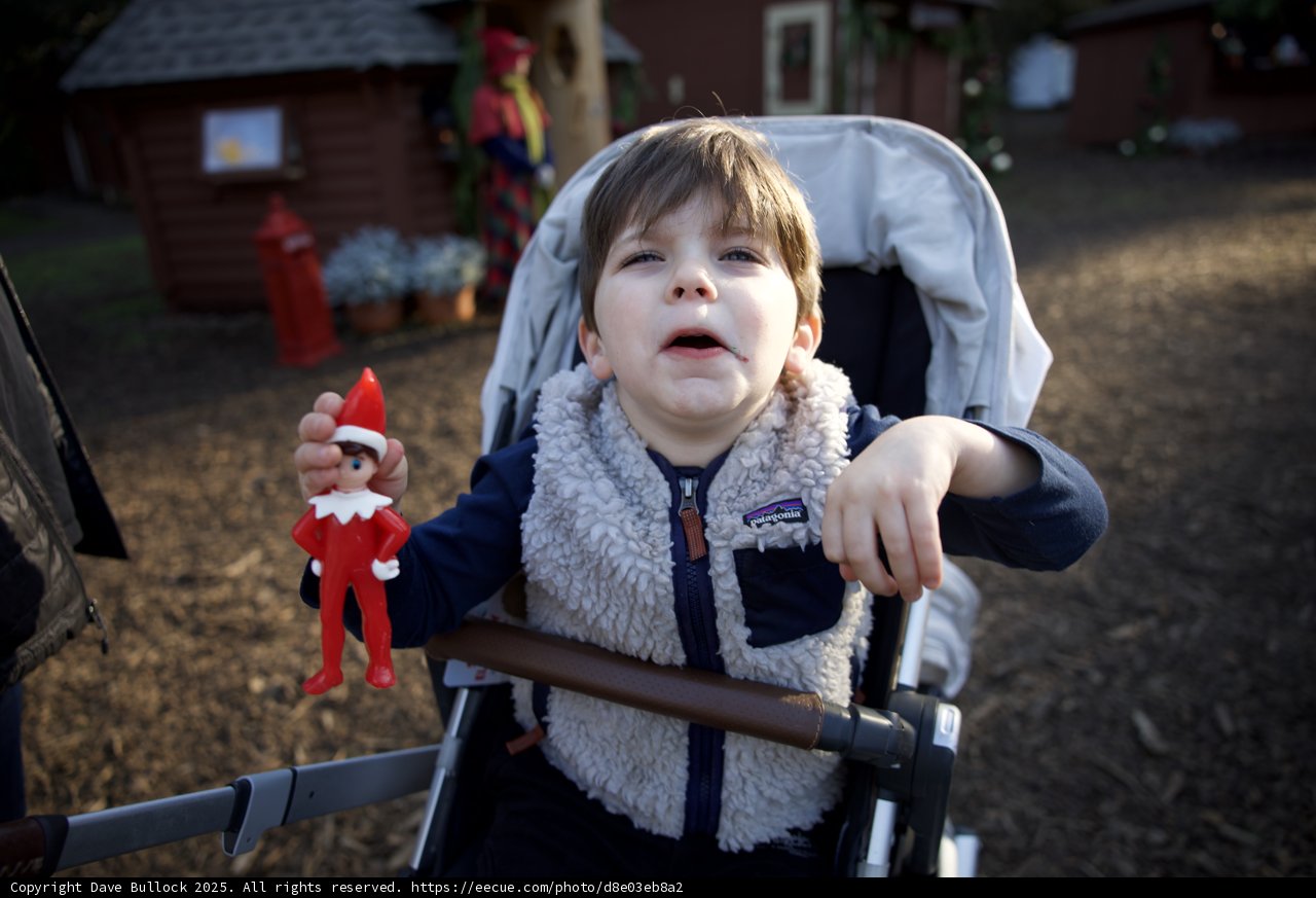 Whimsical Adventures at Thistlewyck