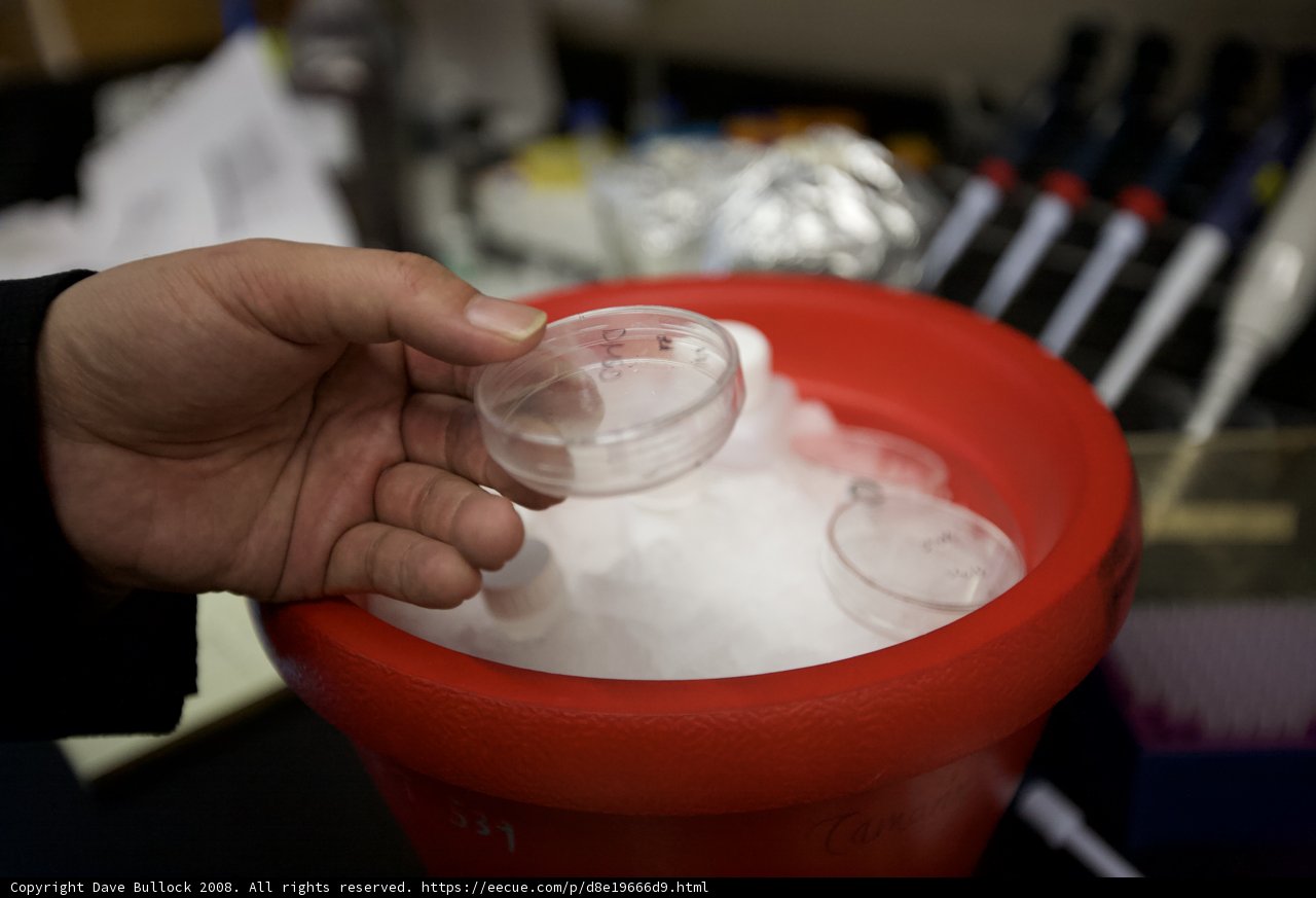 Ice in Hand